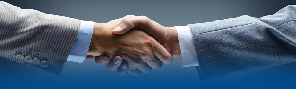 Investor 